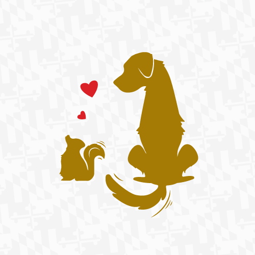 UMBC Valentine's Day Social Media Animation